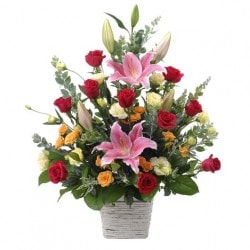 �ڥ����٥꡼�ѡ�����Ź�˲֡ۡ�OW-003���ե�����