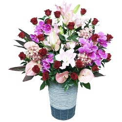 �ڥ����٥꡼�ѡ�����Ź�˲֡ۡ�OW-005���������