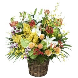 �ڥ����٥꡼�ѡ�����Ź�˲֡ۡ�OW-006�������ͥå�