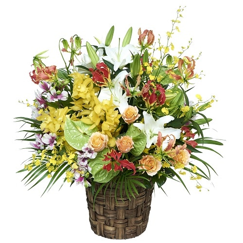 グランベリーパーク開店祝花 Ow 006 ヴァネッサ グランベリーパーク開店祝花 花家族おくりもん