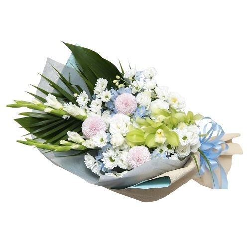 FF-031�����١�����������