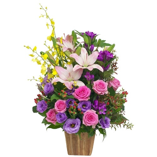 MA-021���������㥹��꡼