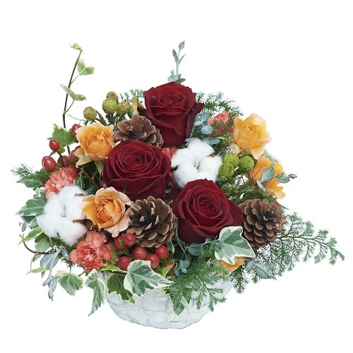 CF-009���������ȥ��ꥹ�ޥ�