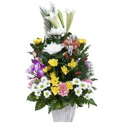 NY-012���Ⱦ͡����ä��礦��