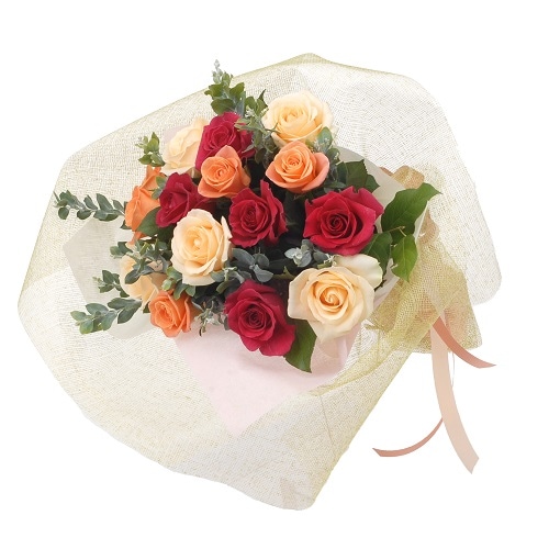 RC-003���ʥ��꡼