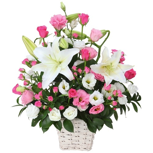 EN-008���������ѡ��ƥ���