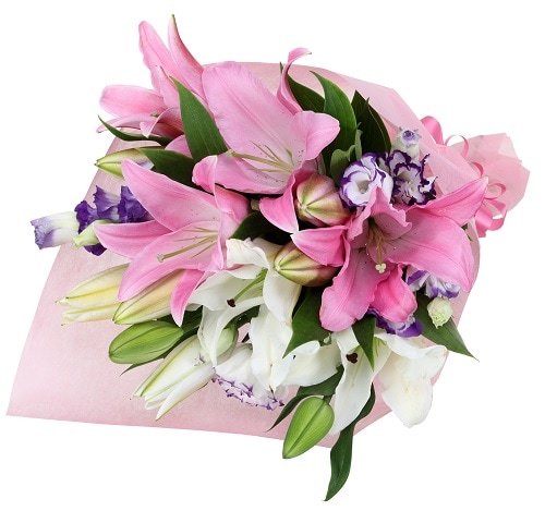 MN-024���ӥ塼�ƥ��ե�饤��