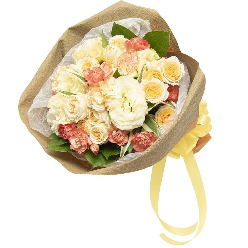 MH-033������������