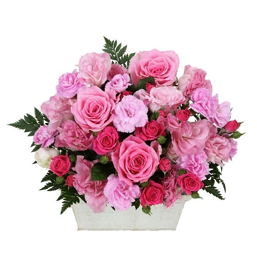 EN-024���ɥ꡼��ե������С�