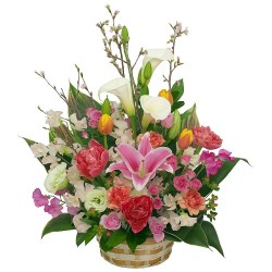 EH-021 ���ߥ�