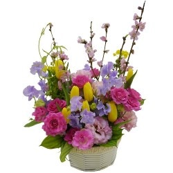 MO-001��ͥ����椦���ġ�