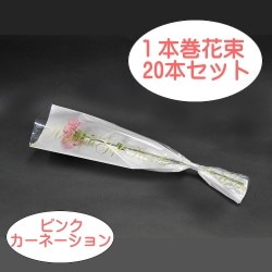 ܴ«͡ʥԥ󥯡ˡ20ܥå