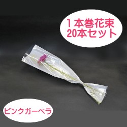 ܴ«٥ʥԥ󥯡ˡ20ܥå