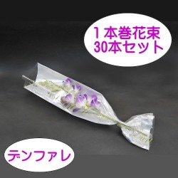 ܴ«ǥեʥԥ󥯡ˡ30ܥå