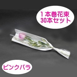 ܴ«Хʥԥ󥯡ˡ30ܥå