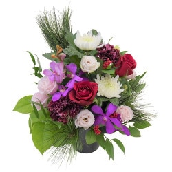 NY-037 �ȸ����٤ˤҤ����