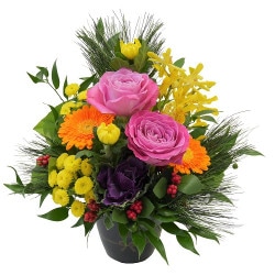 NY-036 ��������������