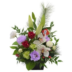 NY-038 �˲�����夯����