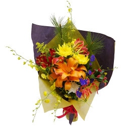 NY-034 �̲֡���������