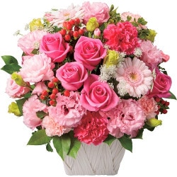 OP-081 �ԥ󥯥�������ʤ��ֲ�����ˤ��ޤ�������󥸡�