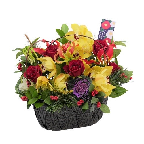 NY-028 ��ॡ���������ڥǥ�ư��������