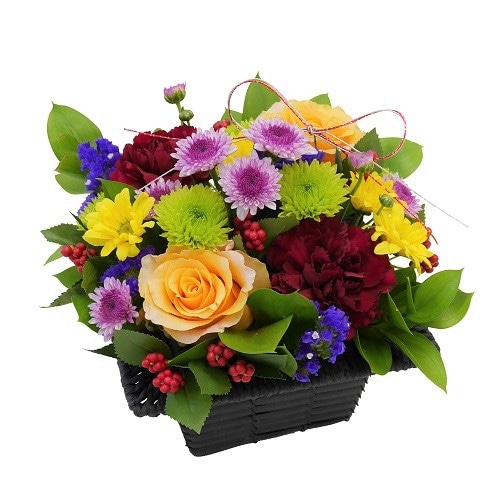 NY-030 ���������