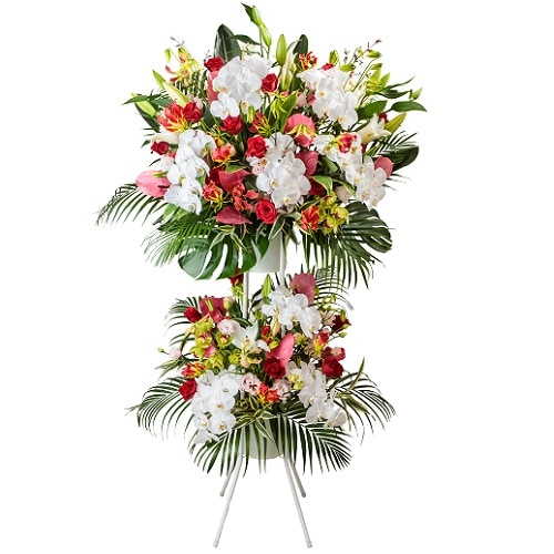 ˤѥʡMarvelousޡ٥饹