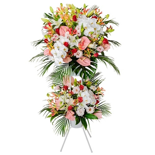 ���ˤ��ѥ�������������ʡ�Emperor������ڥ顼��