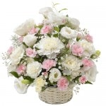 FF-050�����꡼��