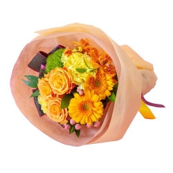 MY-007���ӥ塼�ƥ����Х�󥷥�