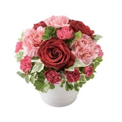 MY-002�����