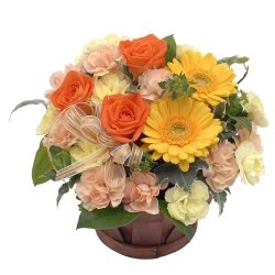 MY-003 �ϥåԡ��⥢