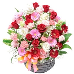 SP-003�����������