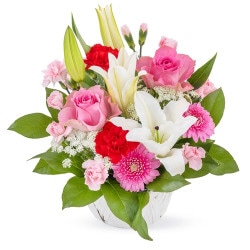 MY-011 ���㡼���꡼