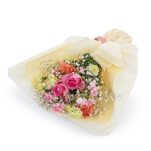 MY-012 �ǥ����ޥߡ�