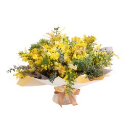 DC-039 �ߥ⥶�β�«