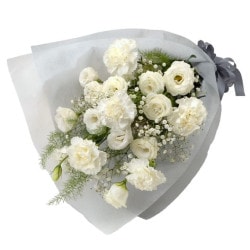 FF-049 ��������Τ��