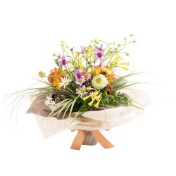 DC-040����ʥ󥭥�饹�Ƚտ��β�«