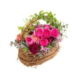 DC-041�������͡������ȥХ�Υ��󥭥塼�����