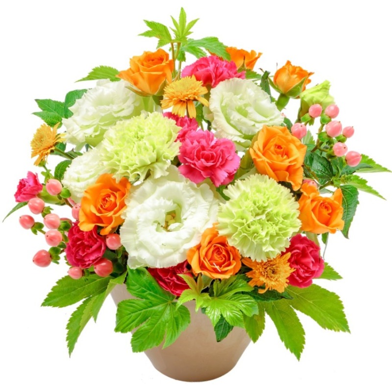 MN-034 �ʥ����Х��������