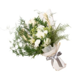 DC-042���������򤤥��ꥢ�Υ֡���