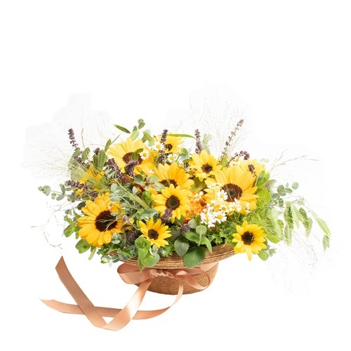 DC-043 ƴ��Υ���ե������