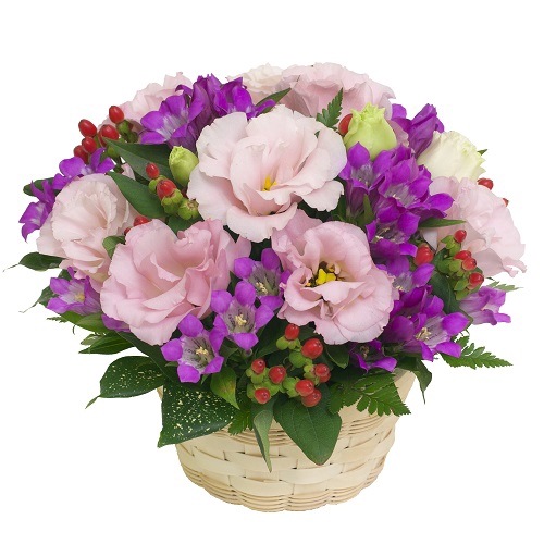 MA-019���ƥ�������