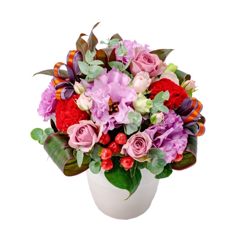 HW-003���������ॽ���