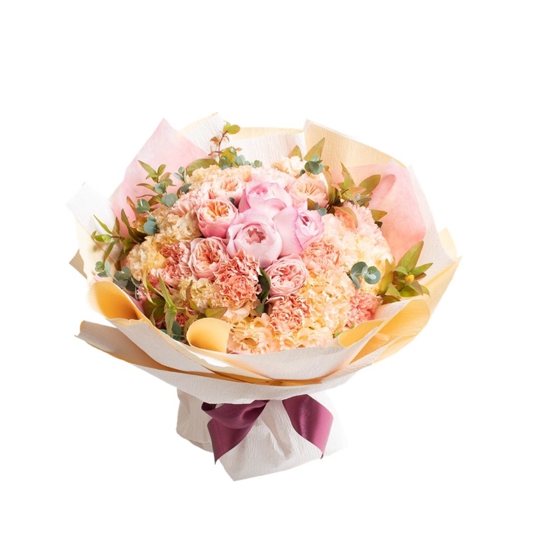 DC-047��ͥ���������ܤΥХ�β�«