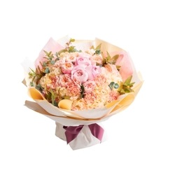 DC-047��ͥ���������ܤΥХ�β�«