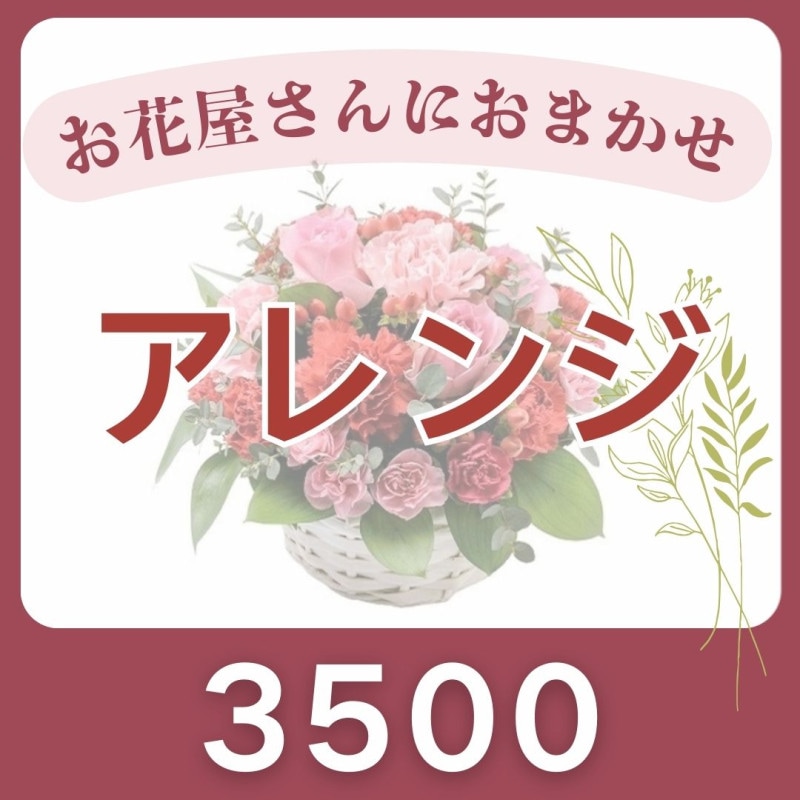 ���ֲ�����ˤ��ޤ�������󥸥���