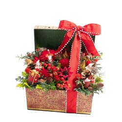 DC-048 ���ꥹ�ޥ�BOX����󥸡�