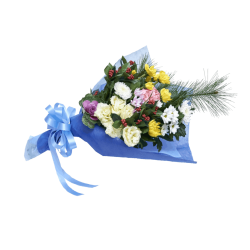 NY-011������������ʷ޽���ʩ�֡�