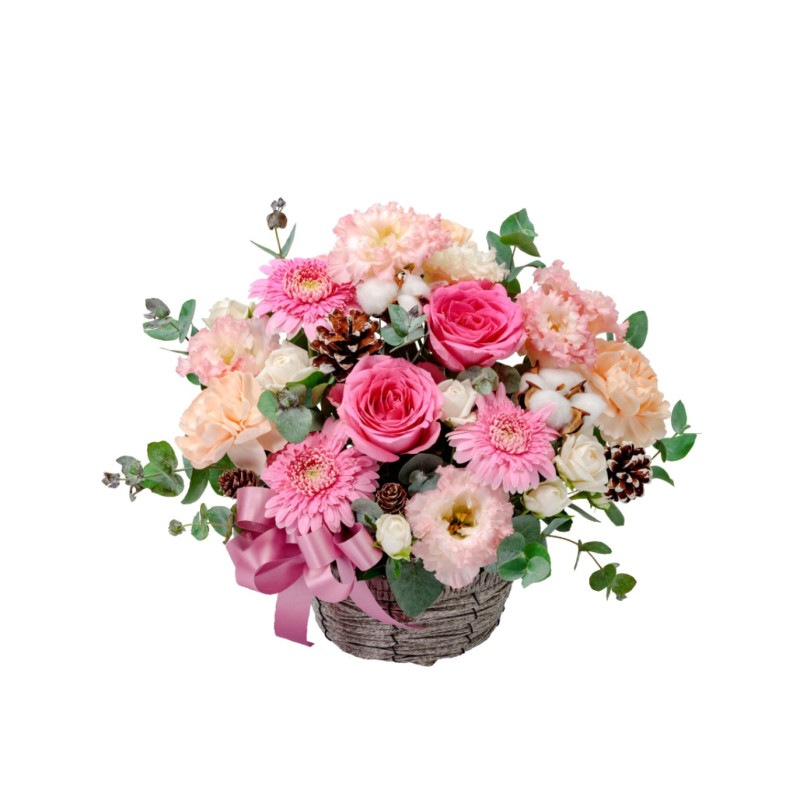 CF-014�����إ�